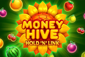 Money Hive Hold n Link